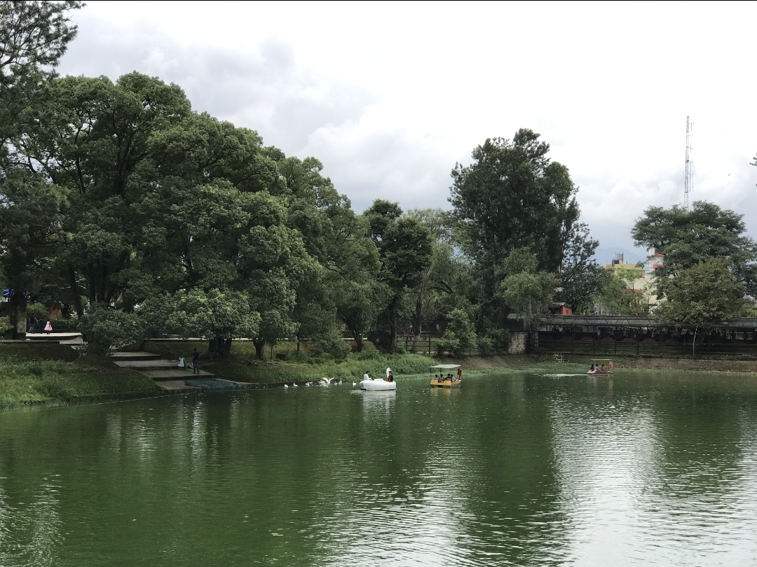 Bird flu outbreak forces closure of Central Zoo